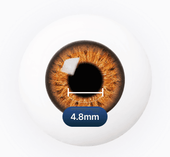 밤 - 4.8mm