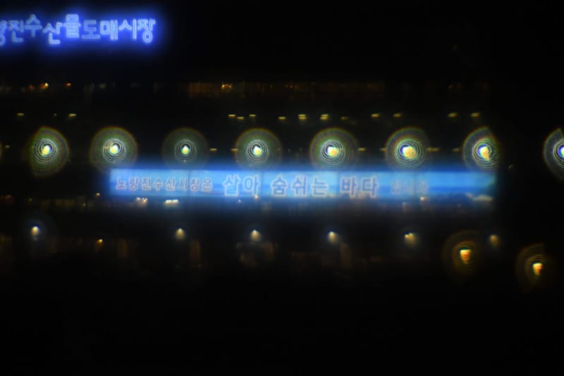 엘라나 (칼자이스), 야간도로, 빛번짐 (동공 4.8 mm)