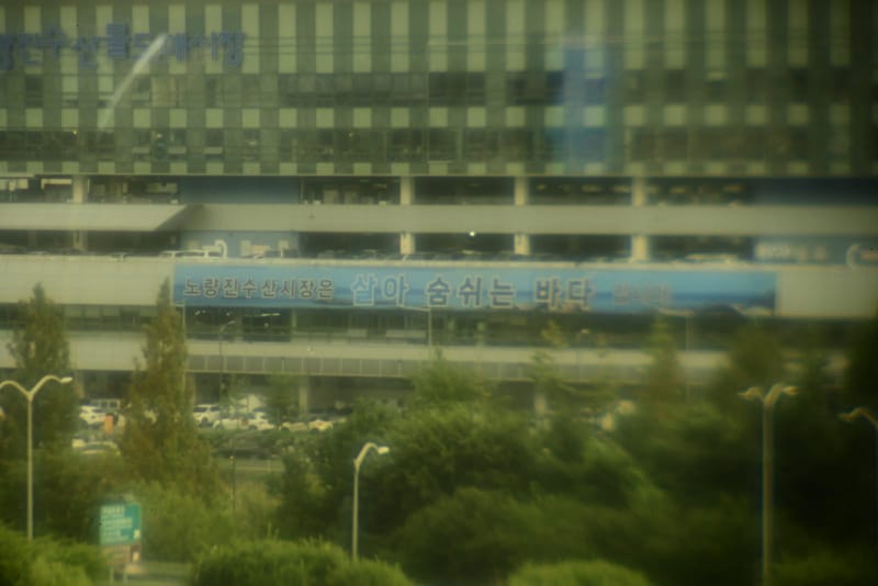 파인비젼 (BVI 메디칼사), 낮, 빌딩 (동공 3.0 mm)
