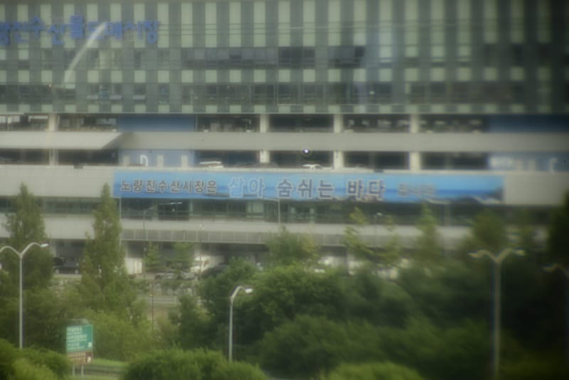 인텐시티 다초점인공수정체, 낮, 빌딩, 동공 3.0 mm