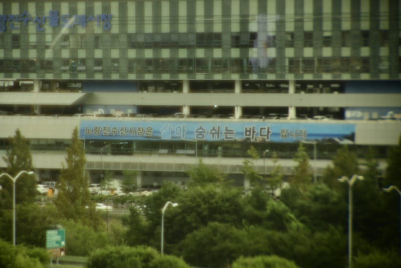 이소퓨어 (BVI 메디칼), 낮, 빌딩 (동공 3.0 mm)