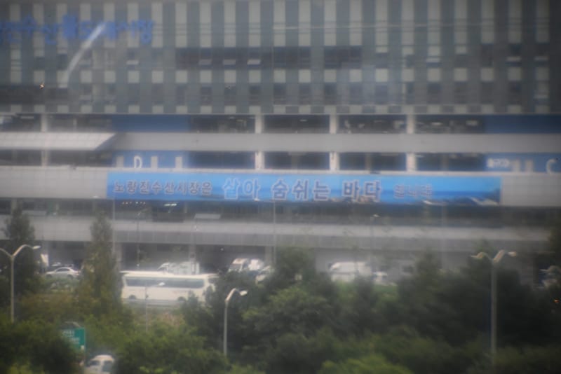 리사트리, 낮, 빌딩 (동공 3.8 mm)