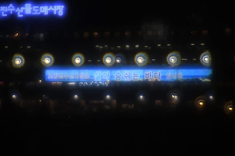 리사트리, 밤, 빌딩 (동공 4.8 mm)