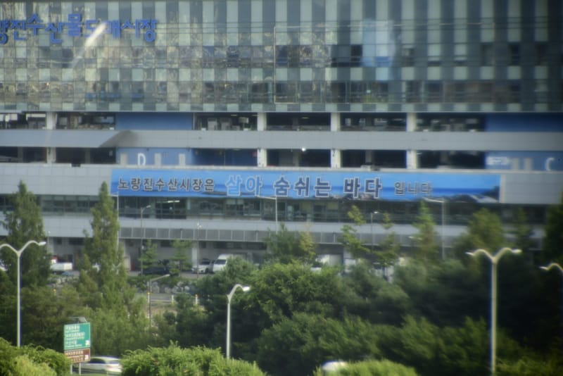 프리시즌 고 (옵텍), 낮, 빌딩, 동공 3.0 mm
