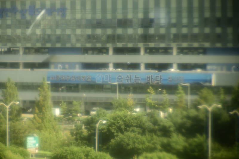 시너지 (존슨앤존슨), 낮, 빌딩, 동공 3.0 mm