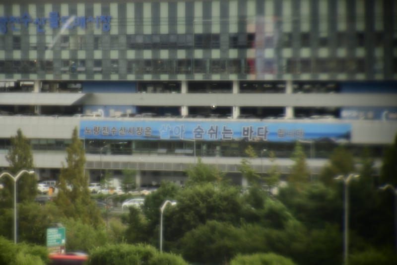신테시스 (커팅엣지사), 낮, 빌딩, 동공 3.0 mm